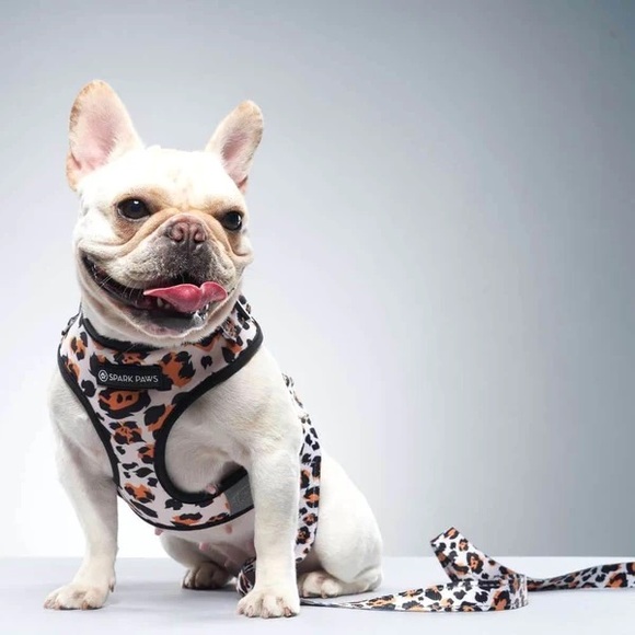 NIP Spark Paws dog Harness & Leash set - Picture 1 of 5